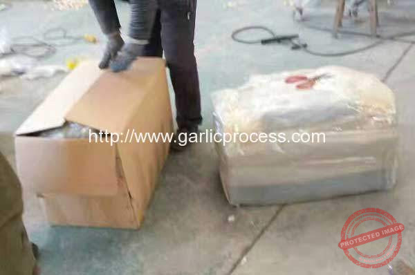 Garlic-Root-and-Leaf-Cutting-Machine-Delivery-for-USA-Market